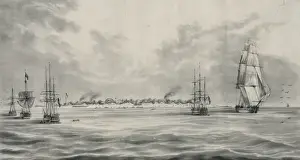 Lobos Prints: The island of Lobos
