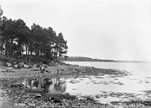 Island Rea