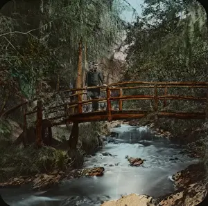 Rustic Prints: Isle of Man. Glen Helen. Rustic bridge