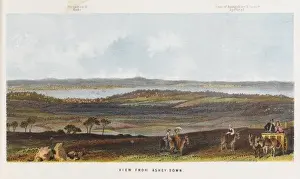 Isle of Wight Ashey Down