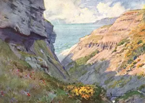Isle of Wight / Blackgang