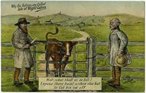 Images Dated 29th April 2016: Two Isle of Wight Farmers assess a tricky situation