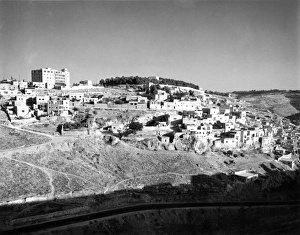 Images Dated 25th February 2011: Israel / Hebron Valley