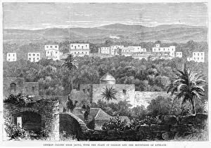 Israel Jaffa