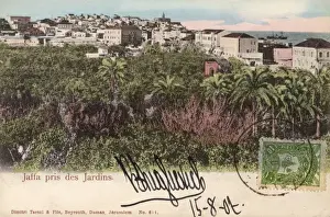 Plam Prints: Israel - Jaffa - Close to the Gardens