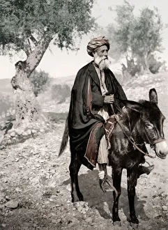 Israel Palestine - Arab merchant on a donkey