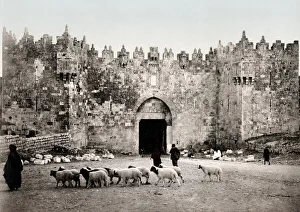 Israel Palestine photochrome - gate Jerusalem