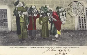 Cauliflower Prints: Israel - Peasants laden with cauliflowers