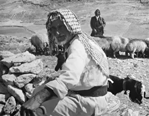 Arid Prints: Israeli Shepherds