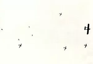 Images Dated 4th October 2011: Italian Caproni and Idro Macchi aeroplanes, WW1