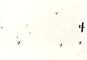 Images Dated 4th October 2011: Italian Caproni and Idro Macchi aeroplanes, WW1