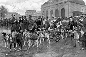 Heroism Prints: Italian dogs of war, decorated for military services
