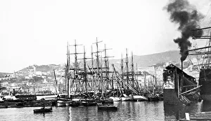 Italy Genoa Harbour pre-1900