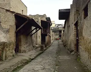 Flows Prints: Italy. Herculaneum. Cardo IV