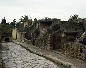 Remain Collection: Italy. Herculaneum. Cardo V