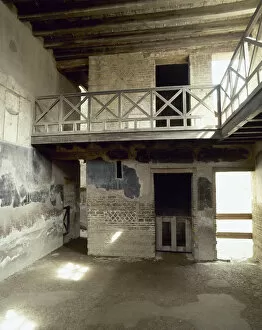 Campania Collection: Italy. Herculaneum. The House of the Stags. 1st AD. Room