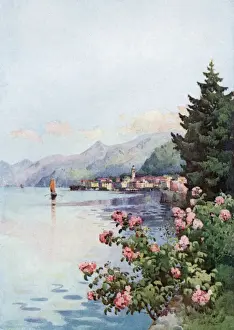 Viewed Prints: Italy / Lake Como Bellagio