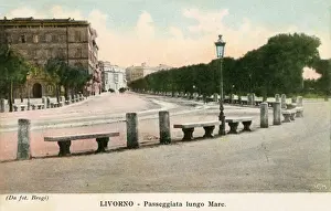 Livorno Prints: Italy - Livorno