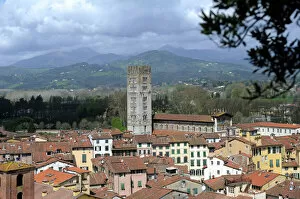 Tuscany Collection: Italy. Lucca. Panorama