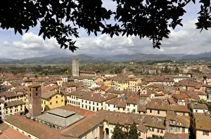 Italy. Lucca. Panorama