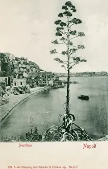 Italy - Naples - Posillipo