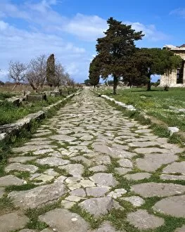 Magna Collection: Italy. Paestum. Sacred Way