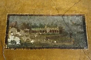 Poempeiian Collection: ITALY. Pompeii. Frescoes in the House of Venus in