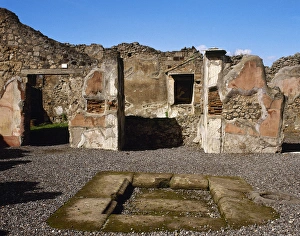 Adonis Gallery: Italy. Pompeii. The House of Adonis. Atrium