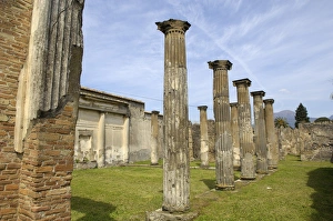 Poempeiians Collection: ITALY. Pompeii. Ionic capitals. Roman art. Early