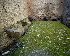 Remain Collection: Italy. Pompeii. Public Latrines. Ruins