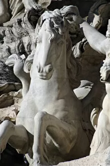 1751 Gallery: Italy. Rome. Fontana di Trevi. 18th century. Sea horse