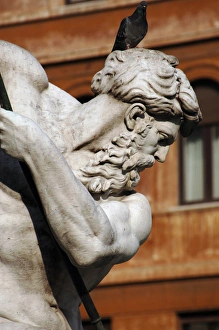 Images Dated 31st January 2009: Italy. Rome. Fountain of Neptune. Detail of Neptunes statue