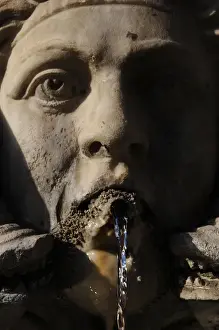 Pantheon Prints: Italy. Rome. Fountain of the Pantheon. Detail. 16th century