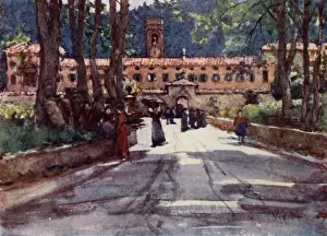 Forestry Prints: Italy / Vallombrosa 1905