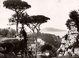 Italy - view towards the sea on the island of Capri