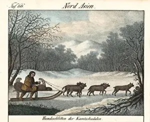 Kamchatka Prints: Itelmen man in fur-lined clothes riding a dogsled