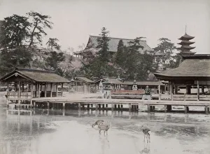 Itsukushima Shrine, miyajima Aki, Japan