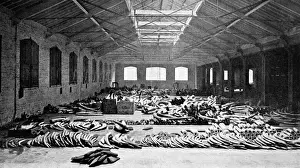 Entire Prints: Ivory floor at London Docks