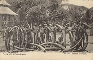 Ivory Gallery: Ivory - Vili Tribesmen - Elephant Hunters