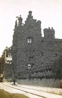Clad Prints: Ivy-clad walls - Sidney Sussex College, Cambridge University