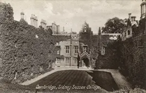 Covered Prints: The ivy-clad walls of Sidney Sussex College, Cambridge