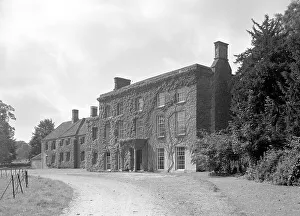 Ivy-covered house