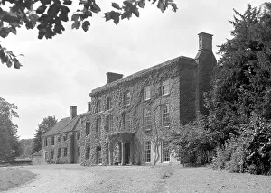 Ivy-covered house