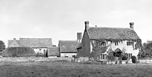 Ivy-covered house
