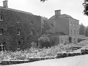 Ivy-covered house