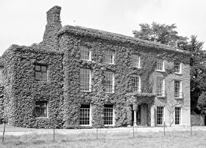Ivy-covered house