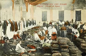 Baskets Collection: Izmir (Smyrna), Turkey - Large fig factory