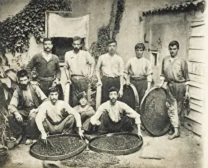 Grapes Prints: Izmir (Smyrna), Turkey - Making Raisins