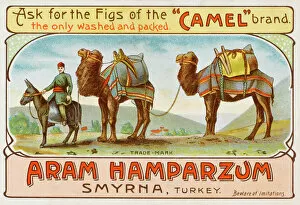 Packs Gallery: Izmir, Turkey - Camel brand figs