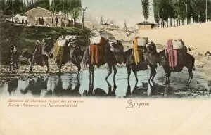 Kemer Collection: Izmir, Turkey - Camel Caravan - Kemer Bridge